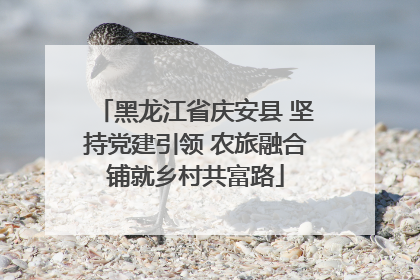 黑龙江省庆安县 坚持党建引领 农旅融合铺就乡村共富路
