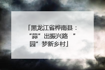 黑龙江省桦南县：“蒜”出振兴路 “园”梦新乡村