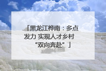黑龙江桦南：多点发力 实现人才乡村“双向奔赴”