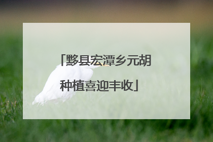 黟县宏潭乡元胡种植喜迎丰收
