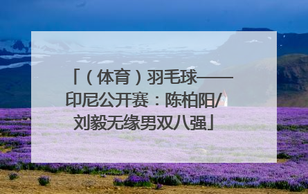 （体育）羽毛球——印尼公开赛：陈柏阳/刘毅无缘男双八强