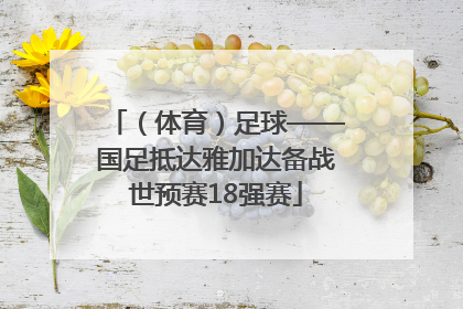 （体育）足球——国足抵达雅加达备战世预赛18强赛