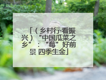 （乡村行·看振兴）“中国瓜菜之乡”：“莓”好前景 四季生金