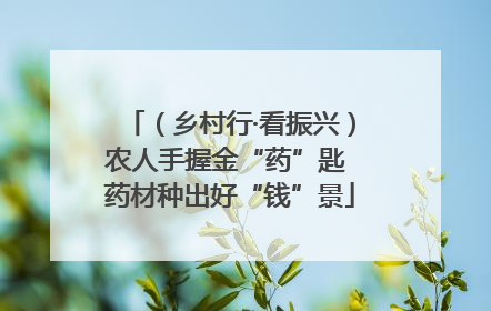 （乡村行·看振兴）农人手握金“药”匙 药材种出好“钱”景