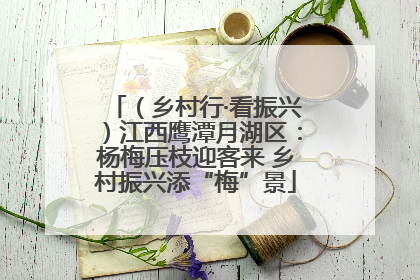 （乡村行·看振兴）江西鹰潭月湖区：杨梅压枝迎客来 乡村振兴添“梅”景