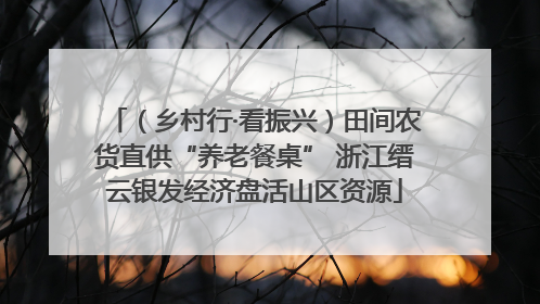 （乡村行·看振兴）田间农货直供“养老餐桌” 浙江缙云银发经济盘活山区资源