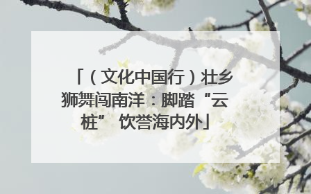（文化中国行）壮乡狮舞闯南洋：脚踏“云桩” 饮誉海内外