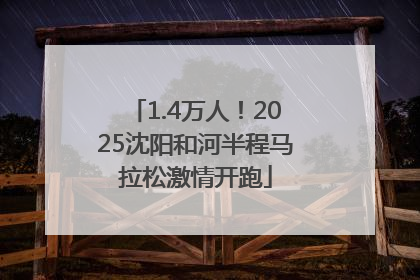 1.4万人！2025沈阳和河半程马拉松激情开跑