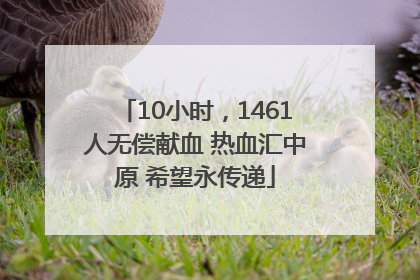 10小时，1461人无偿献血 热血汇中原 希望永传递