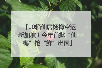 10箱仙居杨梅空运新加坡！今年首批“仙梅”抢“鲜”出国