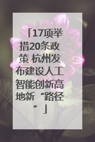 17项举措20条政策 杭州发布建设人工智能创新高地新“路径”