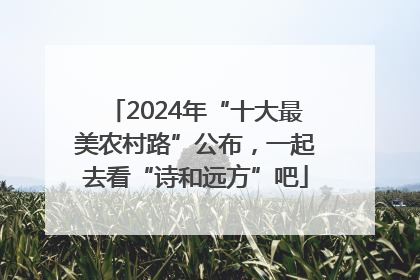 2024年“十大最美农村路”公布，一起去看“诗和远方”吧