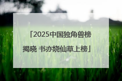 2025中国独角兽榜揭晓 书亦烧仙草上榜