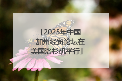 2025年中国—加州经贸论坛在美国洛杉矶举行