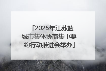 2025年江苏盐城市集体协商集中要约行动推进会举办