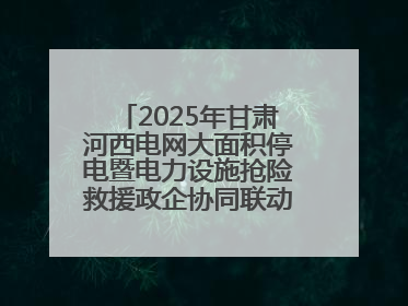 2025年甘肃河西电网大面积停电暨电力设施抢险救援政企协同联动综合应急演练在武威成功举行