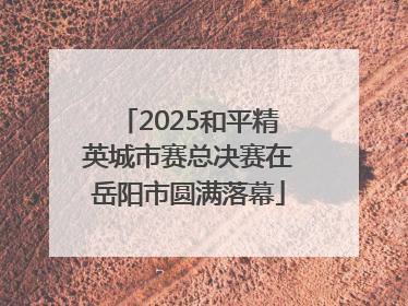 2025和平精英城市赛总决赛在岳阳市圆满落幕