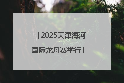 2025天津海河国际龙舟赛举行