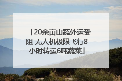 20余亩山蔬外运受阻 无人机极限飞行8小时转运6吨蔬菜