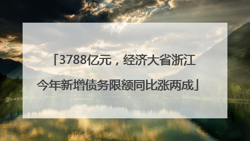 3788亿元，经济大省浙江今年新增债务限额同比涨两成
