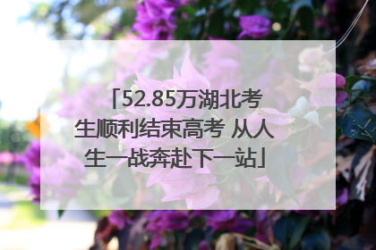52.85万湖北考生顺利结束高考 从人生一战奔赴下一站