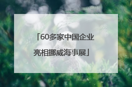60多家中国企业亮相挪威海事展
