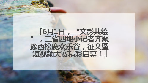 6月1日，“文影共绘”，三省四地小记者齐聚豫西松鹿欢乐谷，征文暨短视频大赛精彩启幕！
