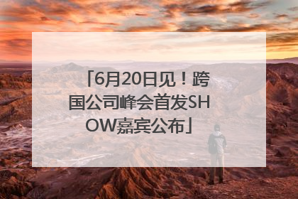 6月20日见！跨国公司峰会首发SHOW嘉宾公布