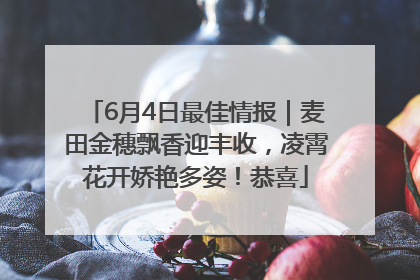 6月4日最佳情报｜麦田金穗飘香迎丰收，凌霄花开娇艳多姿！恭喜