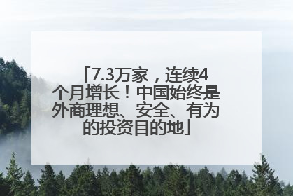 7.3万家，连续4个月增长！中国始终是外商理想、安全、有为的投资目的地