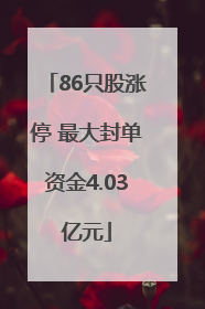 86只股涨停 最大封单资金4.03亿元
