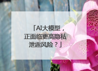 AI大模型，正面临更高隐私泄露风险？