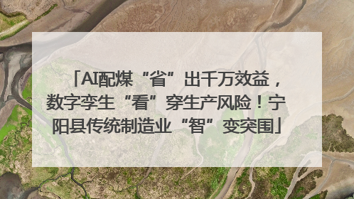 AI配煤“省”出千万效益，数字孪生“看”穿生产风险！宁阳县传统制造业“智”变突围