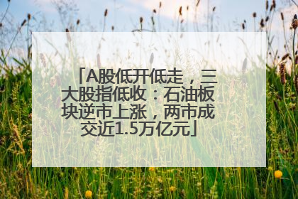 A股低开低走，三大股指低收：石油板块逆市上涨，两市成交近1.5万亿元