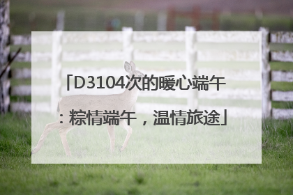 D3104次的暖心端午：粽情端午，温情旅途