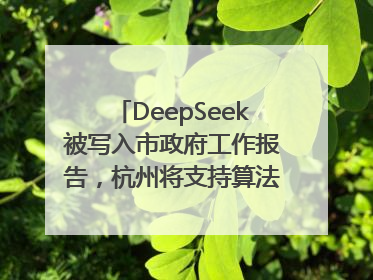 DeepSeek被写入市政府工作报告，杭州将支持算法模型企业发展