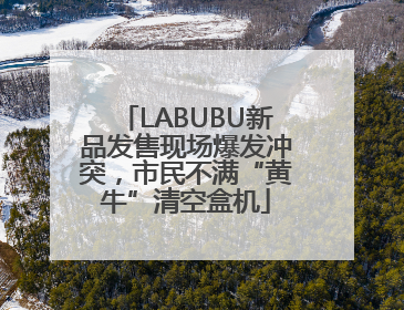 LABUBU新品发售现场爆发冲突，市民不满“黄牛”清空盒机