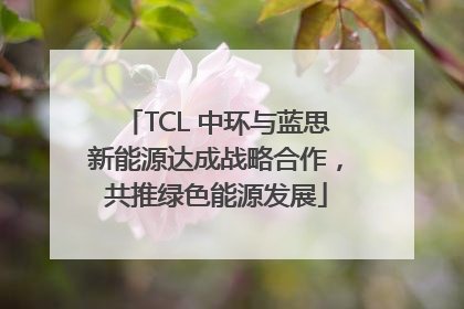 TCL 中环与蓝思新能源达成战略合作，共推绿色能源发展
