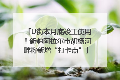 U街本月底竣工使用！新疆阿拉尔市胡杨河畔将新增“打卡点”